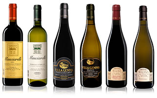 Vino e Bollicine